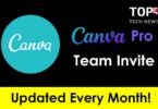 canva pro team invite link