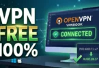 Free VPN for PC in 2026 How to Set Up OpenVPN with VPNBook